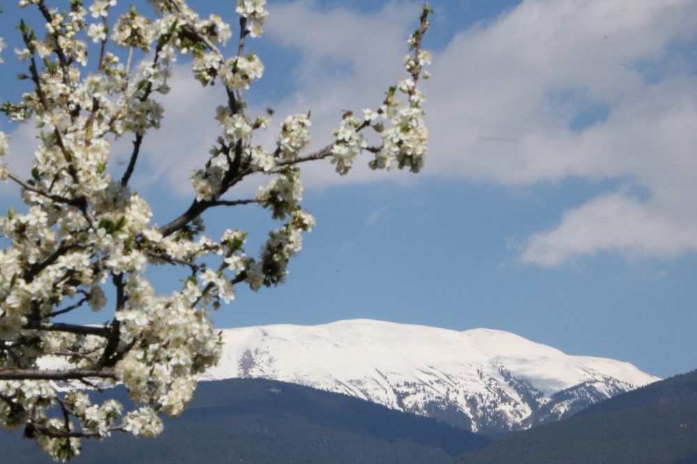 Photograph by Cengiz Yalcin