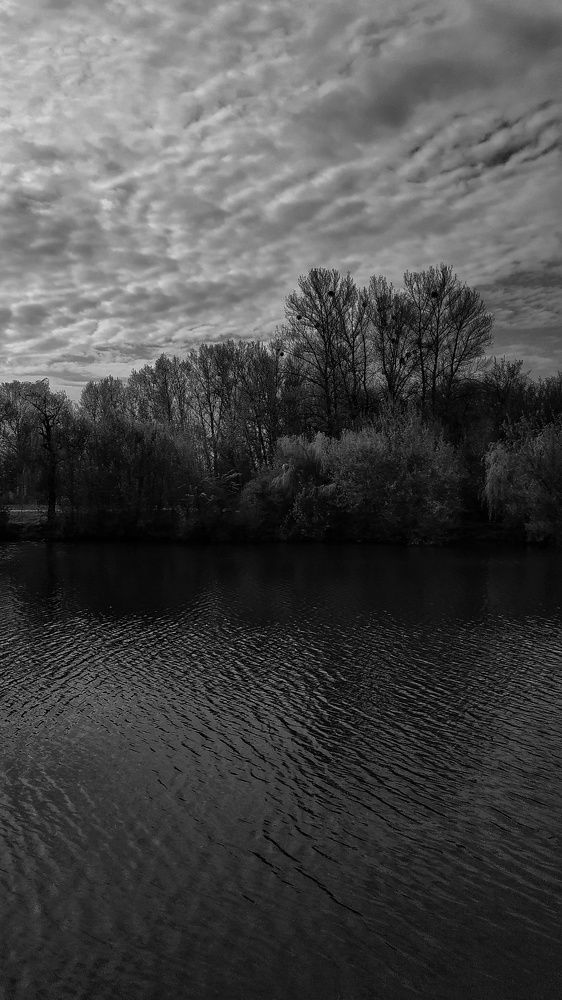 Photograph by Роман