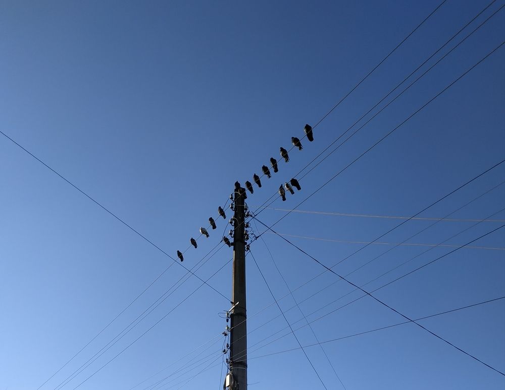 Photograph by Роман