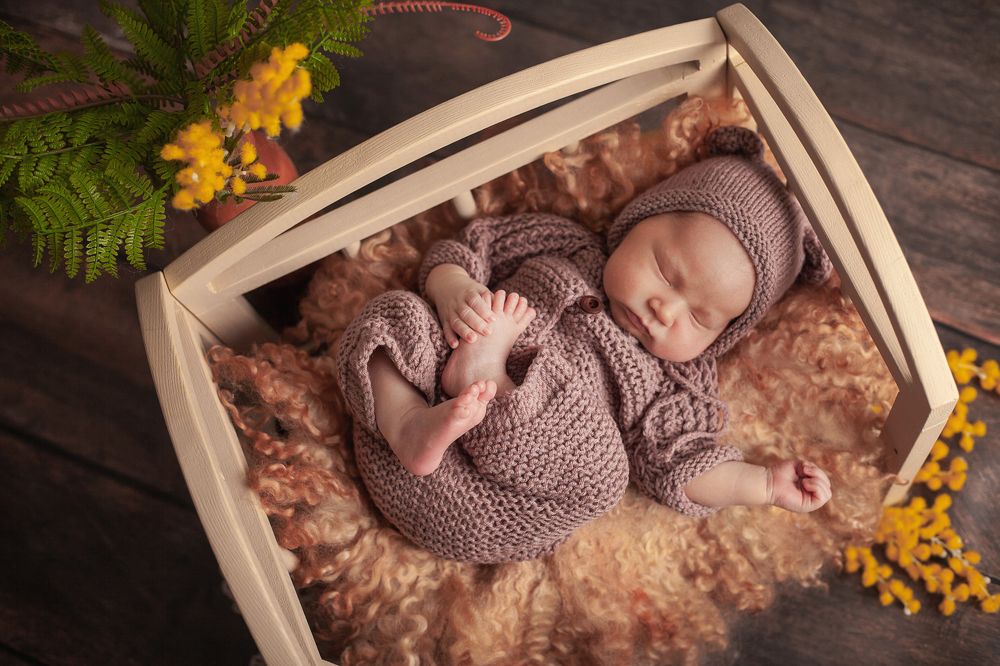 Фотография автора Алена Левина