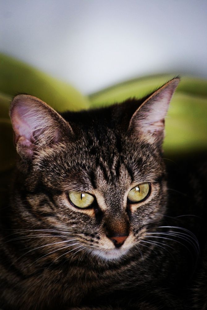 Photograph by Диана Байбуза