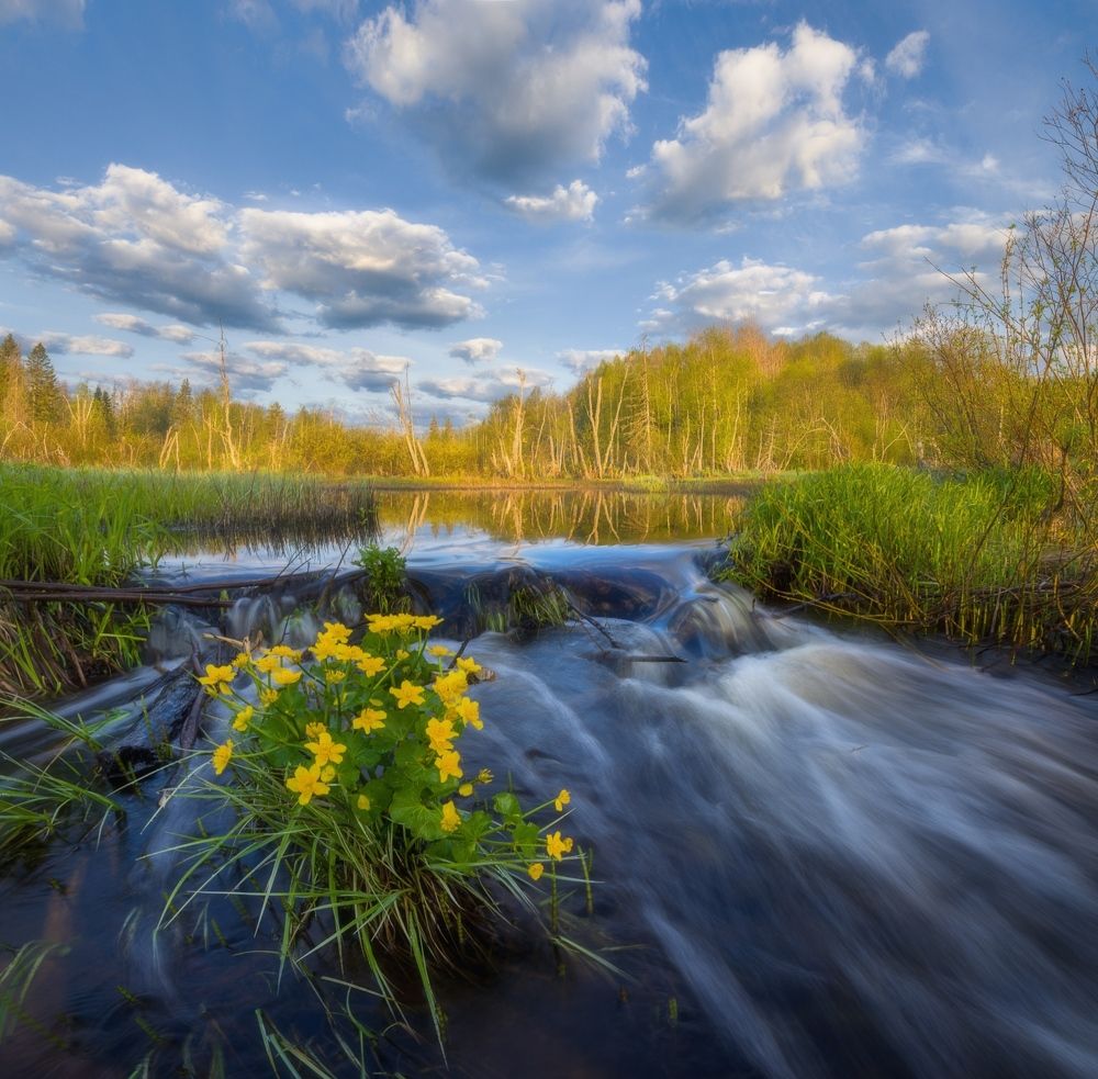 Photograph by  Михаил