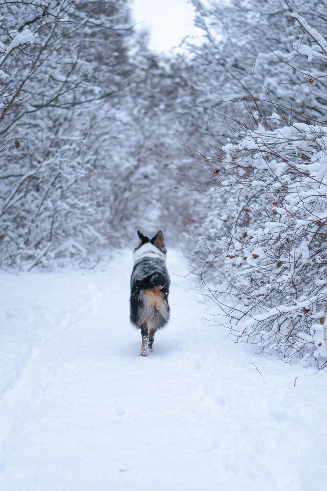 Photograph by Диана