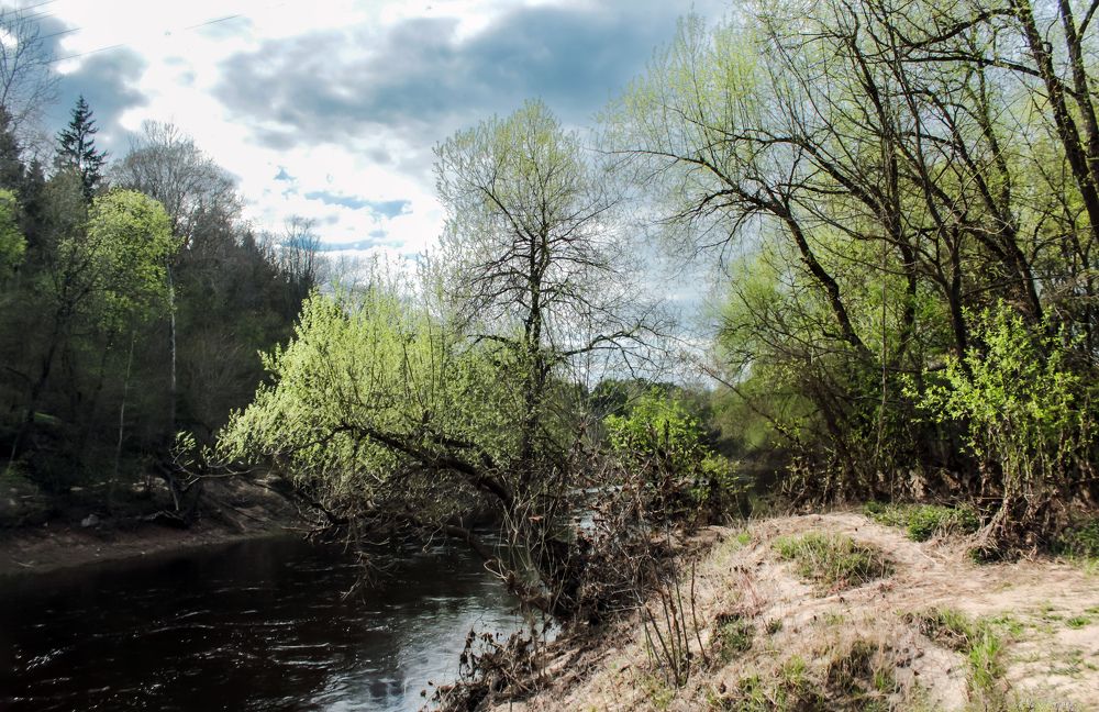 Photograph by Alexandra Chalova