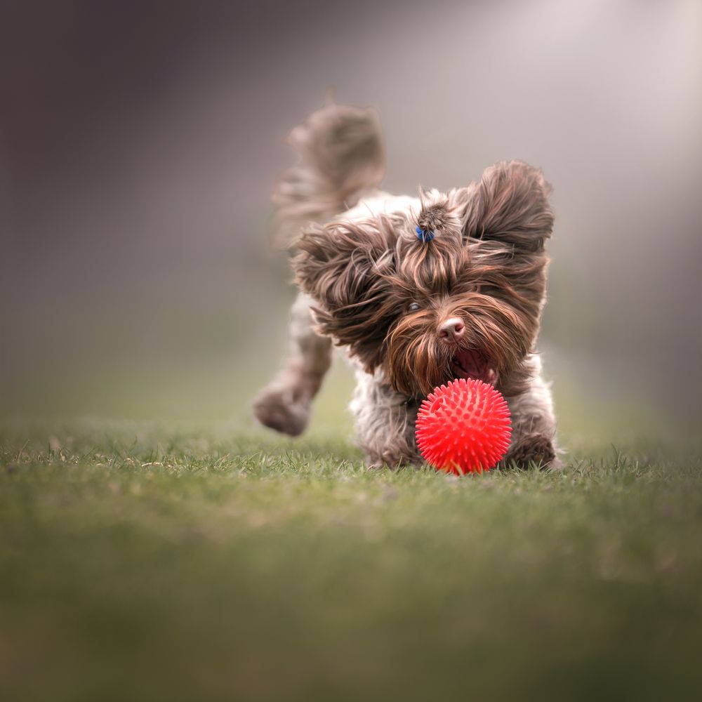 Фотография автора Eugenia Tuzova