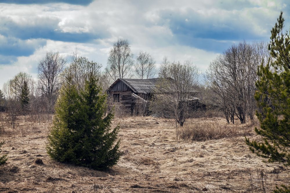 Photograph by Игорь Сидун