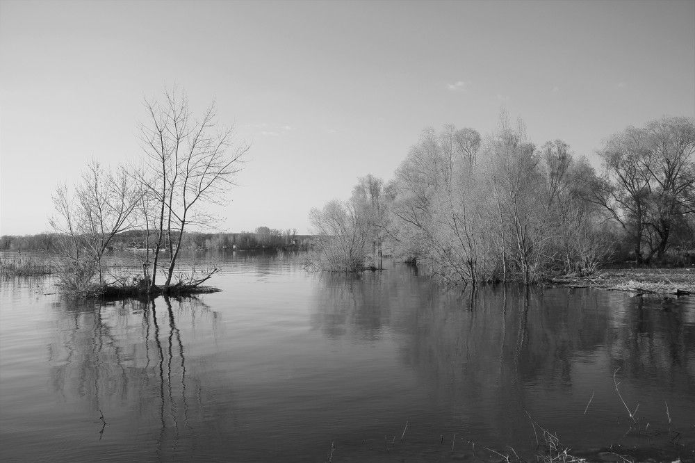 Photograph by Марина Юрченко