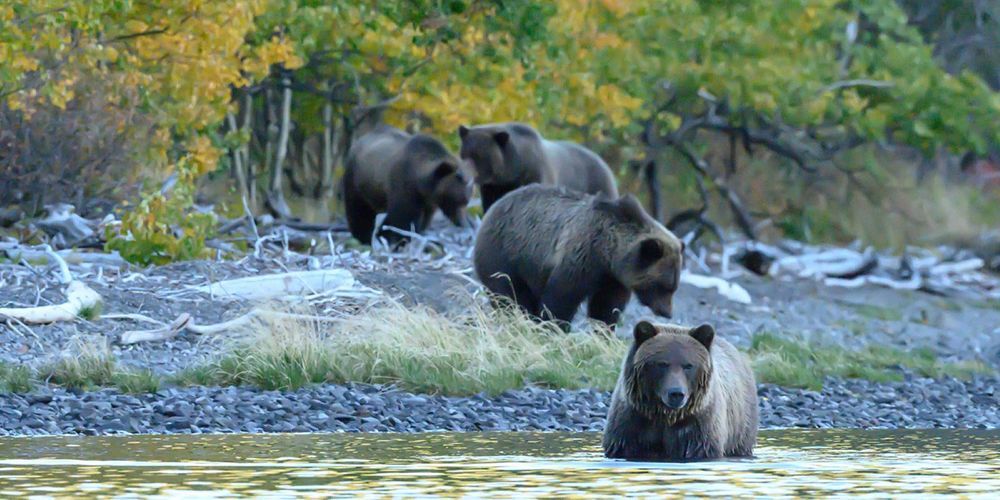 Photograph by Daniel NDUNGU