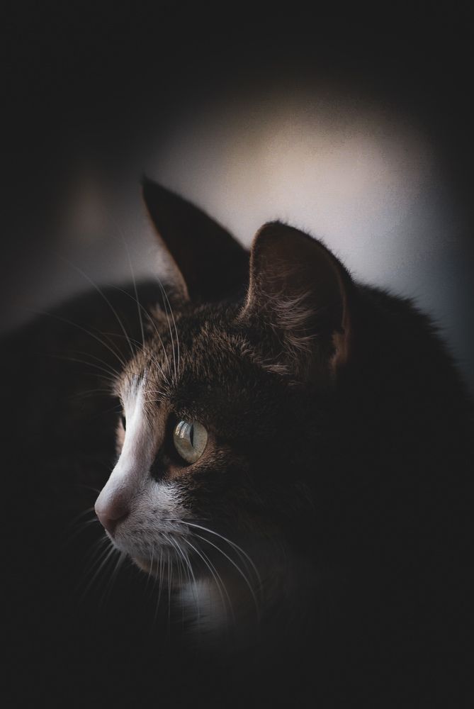 Photograph by Диана Байбуза