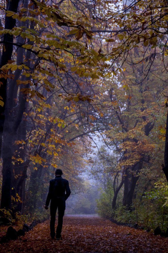 Фотография автора Sose Voskanyan