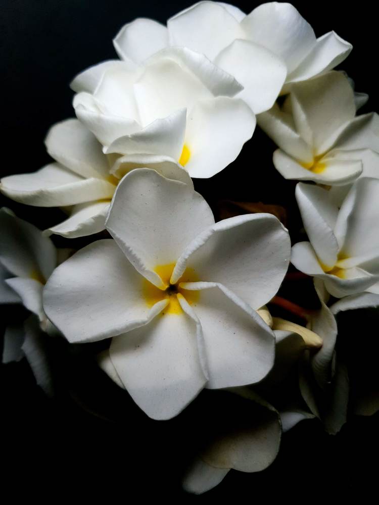 Photograph by Jishan Ahmed Plabon