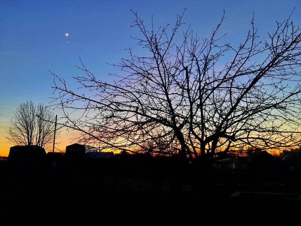 Луна в саду