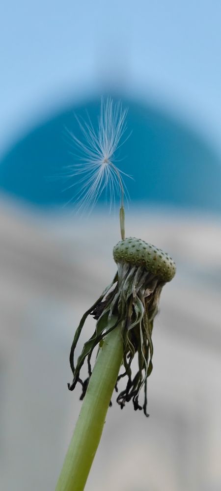 Photograph by Юрий Корсунцев