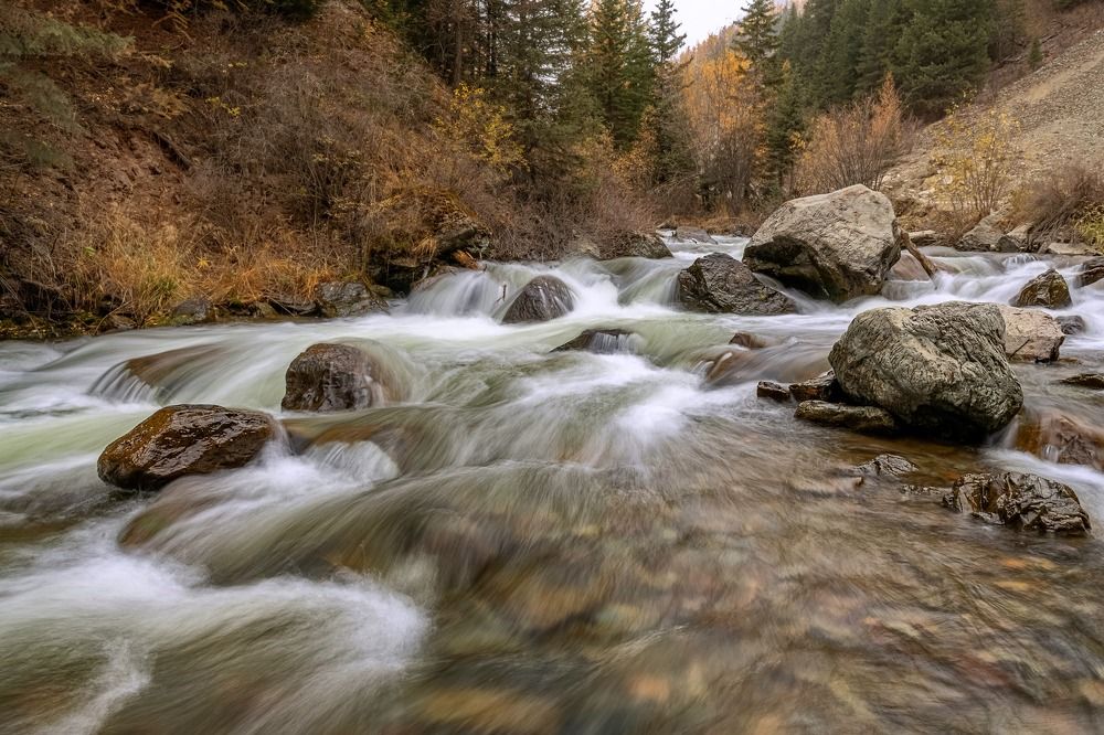 Photograph by Фомина Марина