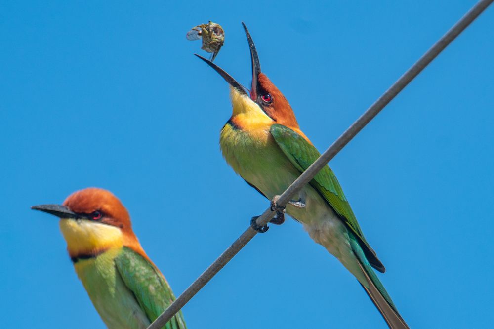 Photograph by Namina Wijetunga