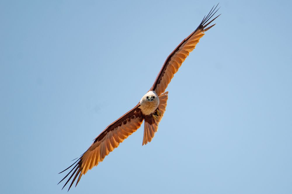 Photograph by Namina Wijetunga