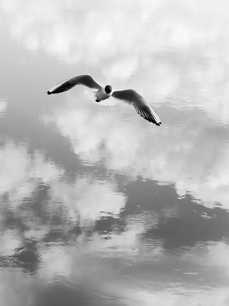 Фотография автора Андрей Богданов