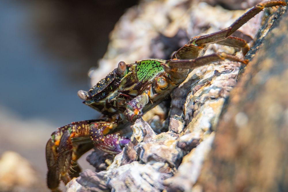 Photograph by Namina Wijetunga