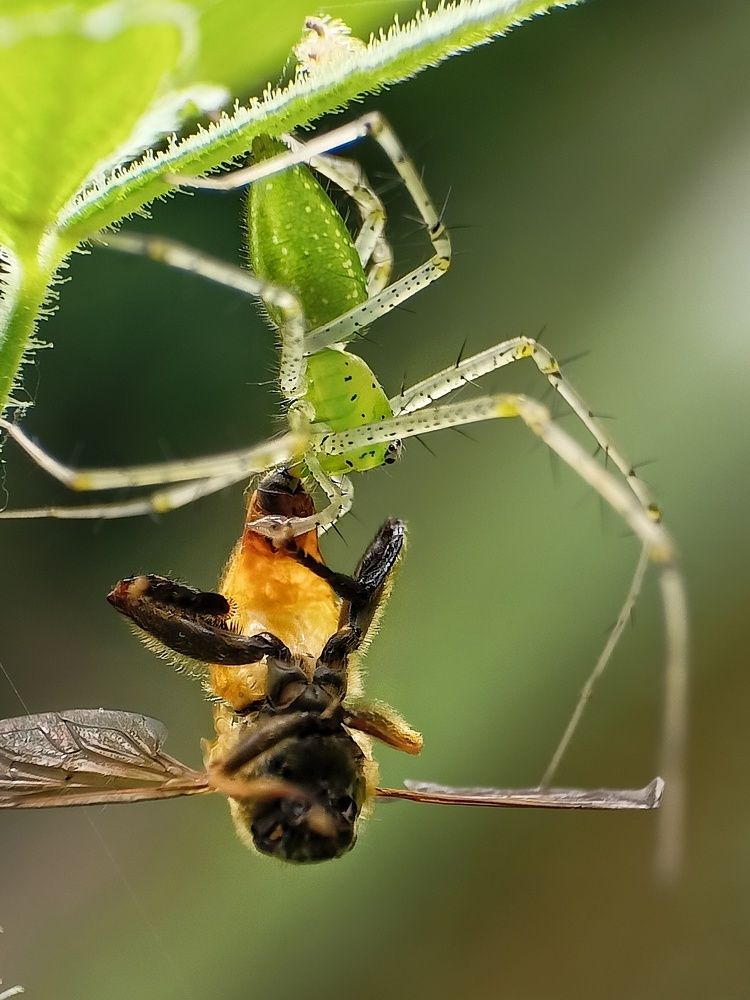 Photograph by Subhajit Jana