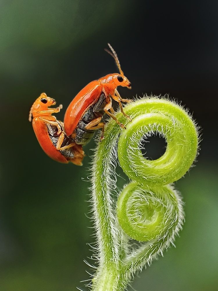 Photograph by Subhajit Jana