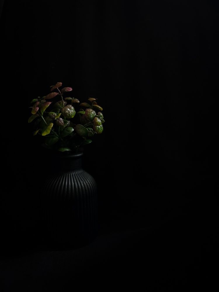 Photograph by Юлия Николаева