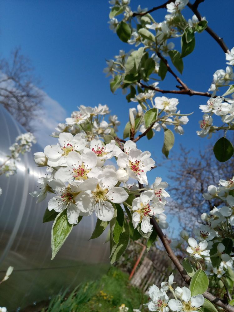 Photograph by Татьяна Пальчикова