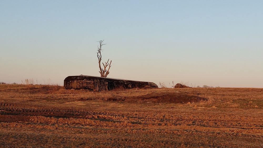 Photograph by Ирина Кузьмина