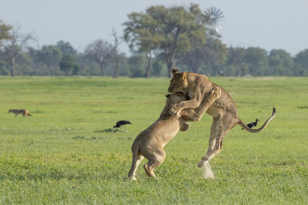 Photograph by Raquel Barao