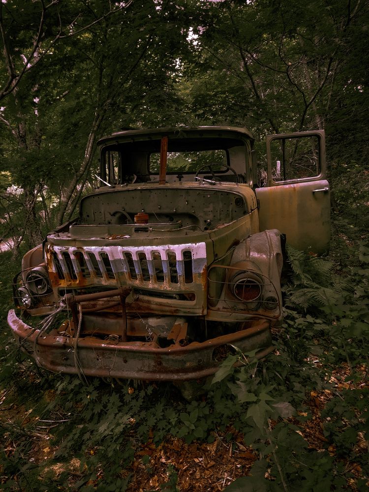 Photograph by Наталья Чередниченко