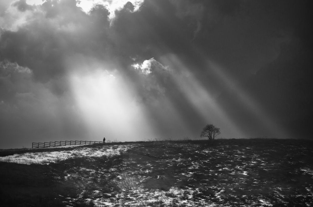 Photograph by Raghuvamsh Chavali