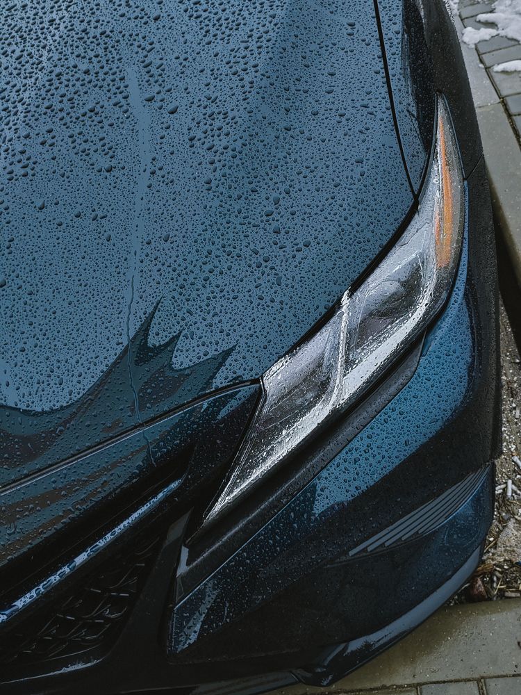 Фотография автора Anna Tsybulskaya