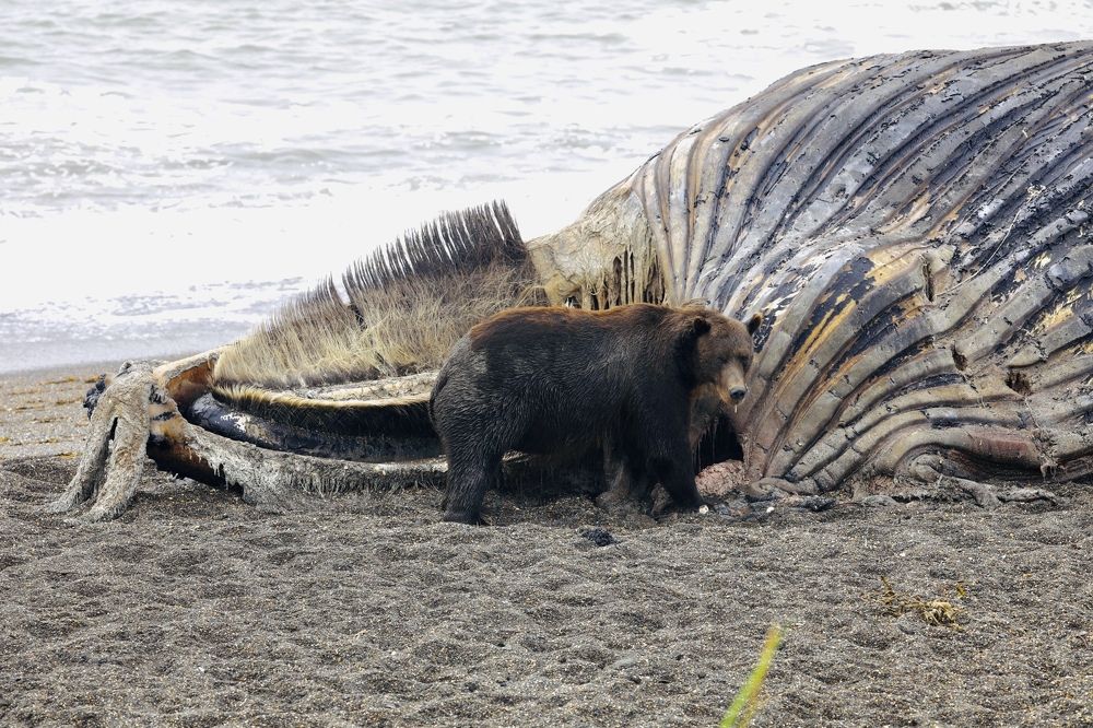 Photograph by Наталья Филькина