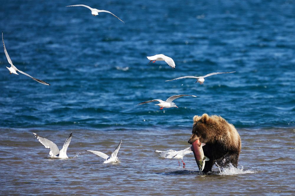 Photograph by Наталья Филькина