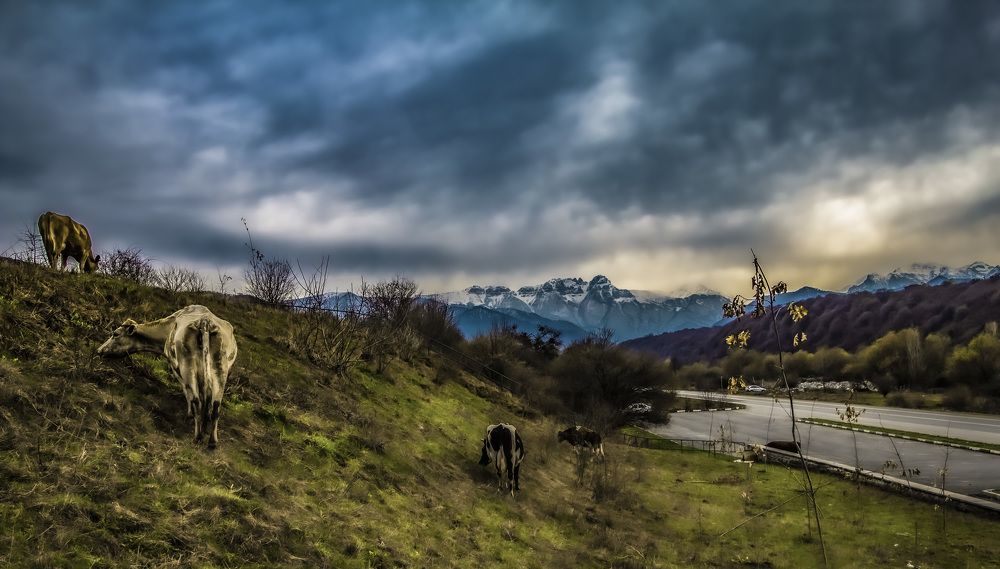 Фотография автора Владимир Михайлов