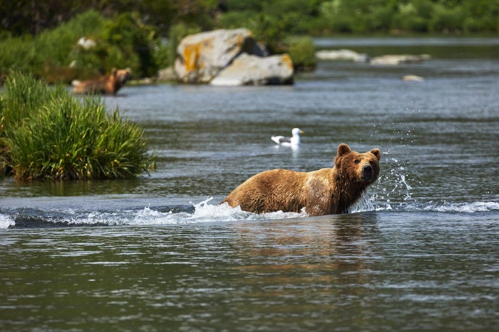 Photograph by Наталья Филькина