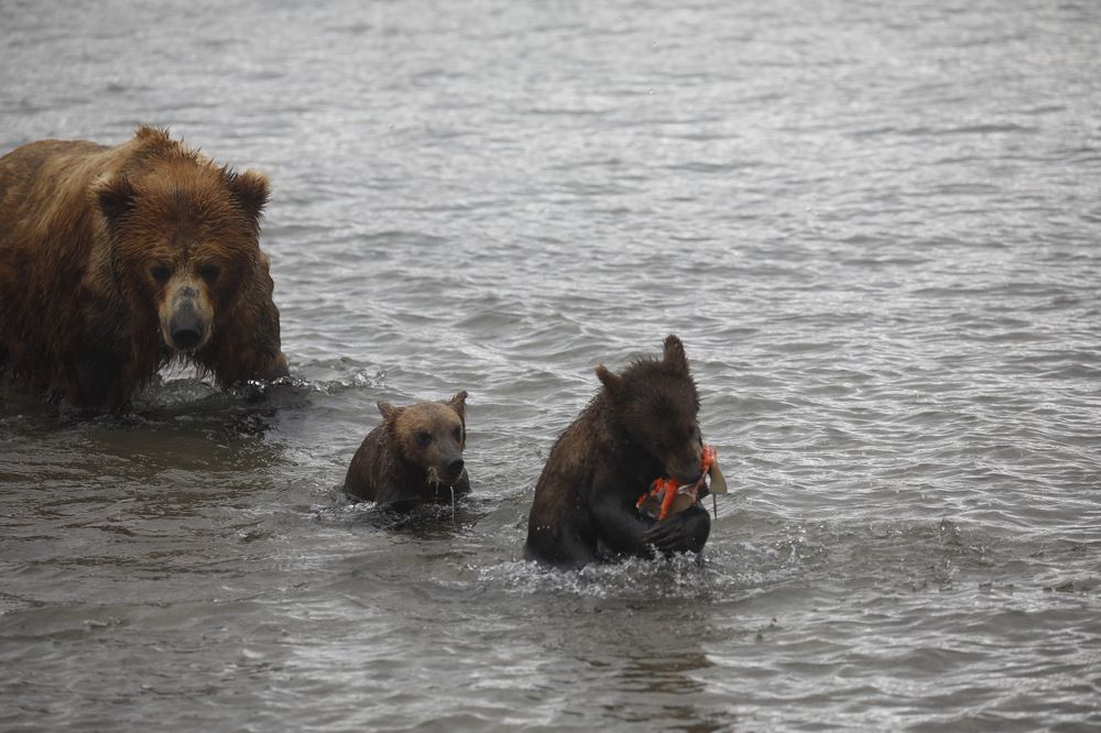 Photograph by Наталья Филькина