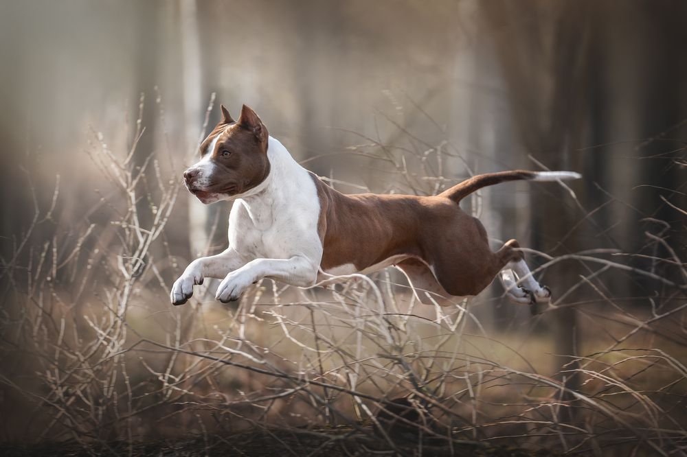 Photograph by Olga Shmeleva