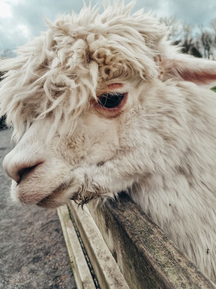 Photograph by Aleksandra Li