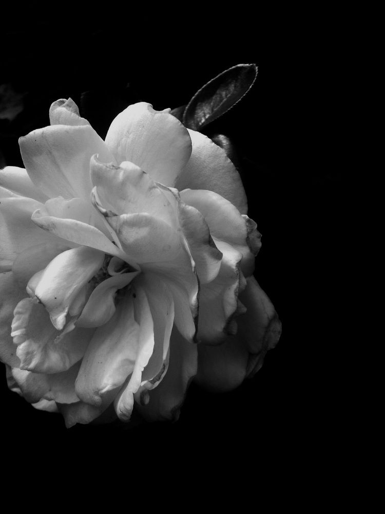 Photograph by Charlin. Juan Ariel