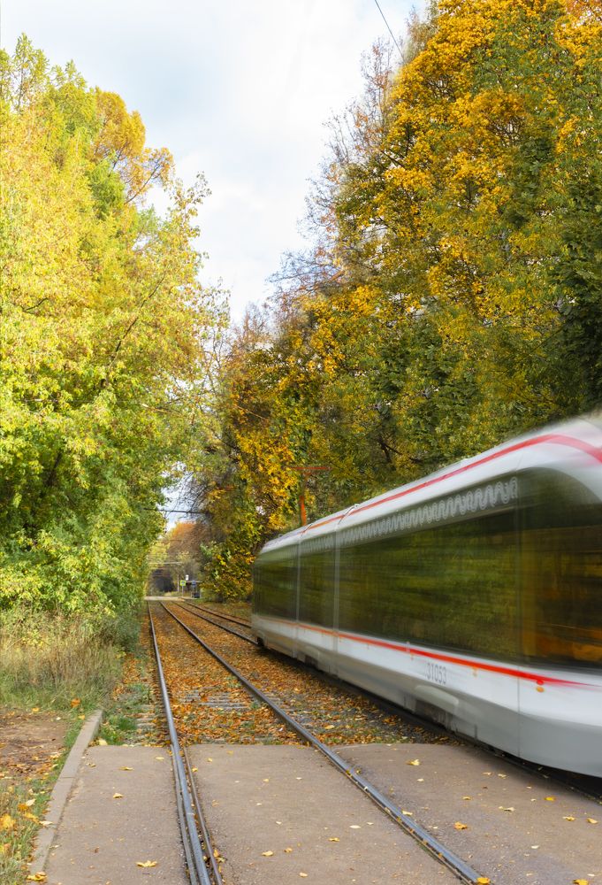 Photograph by Галина Эмберг