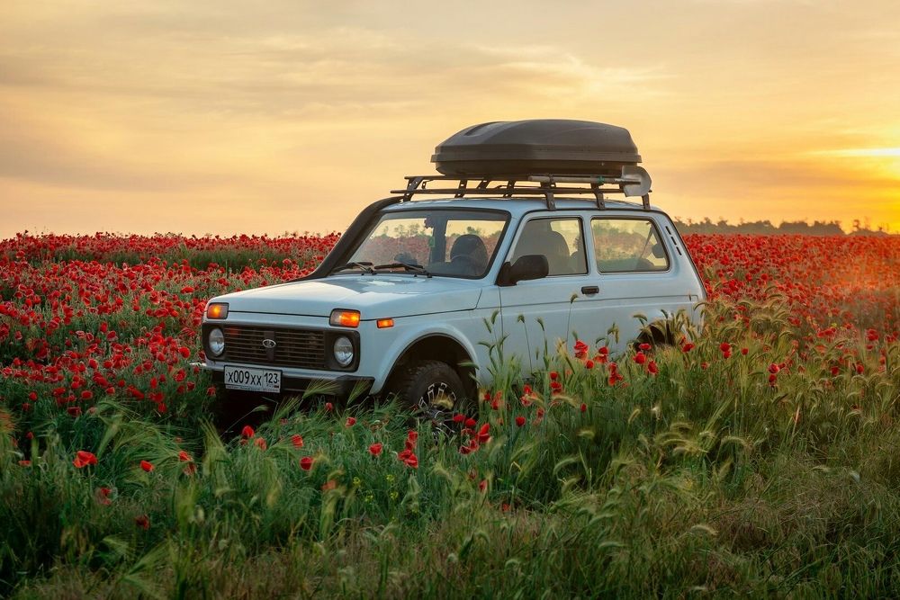 Photograph by Алексей Яковлев