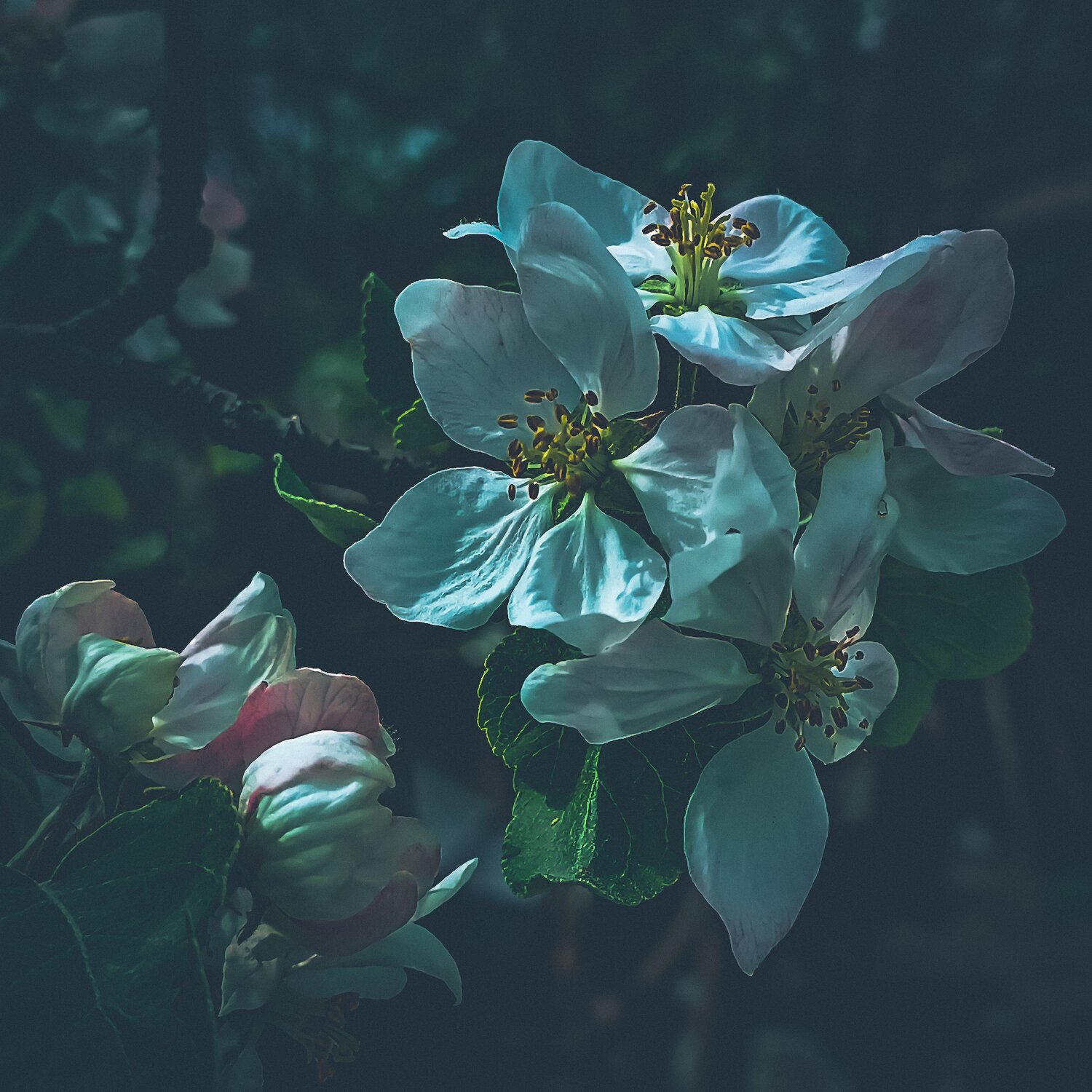 Photo #9086006