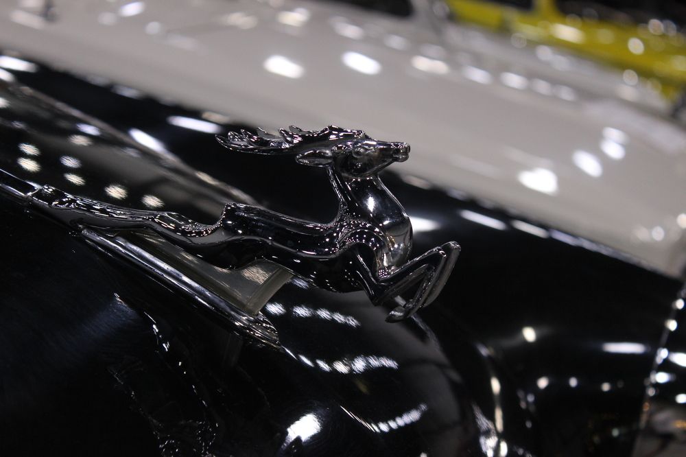 Photograph by Anastasia Kodatenko