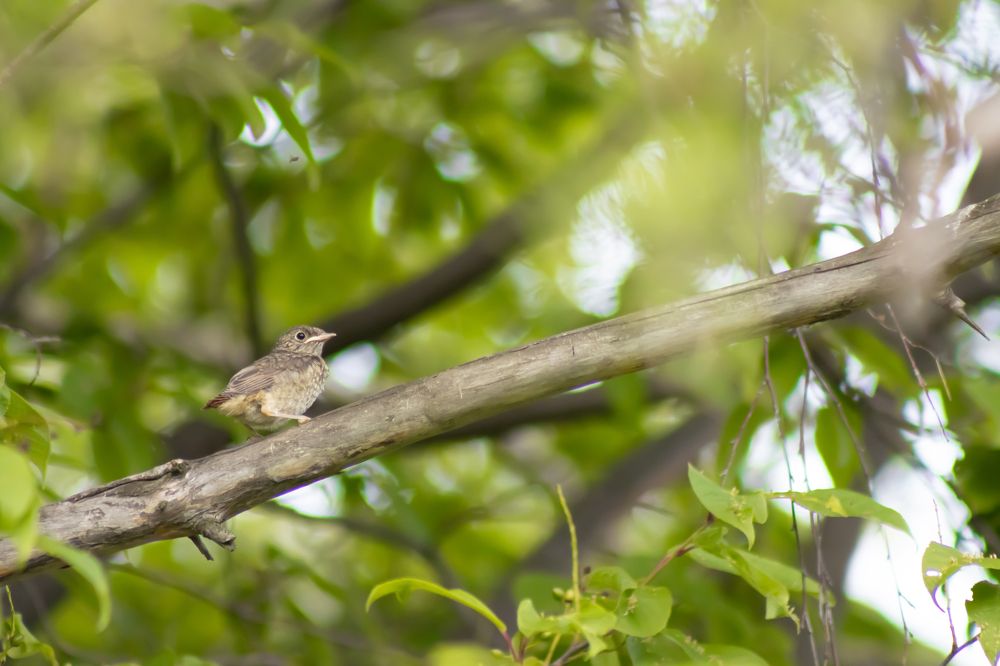Photograph by Алина Щекотова