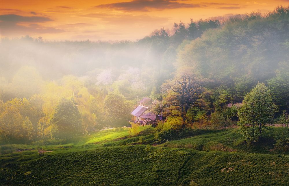 Photograph by Владимир