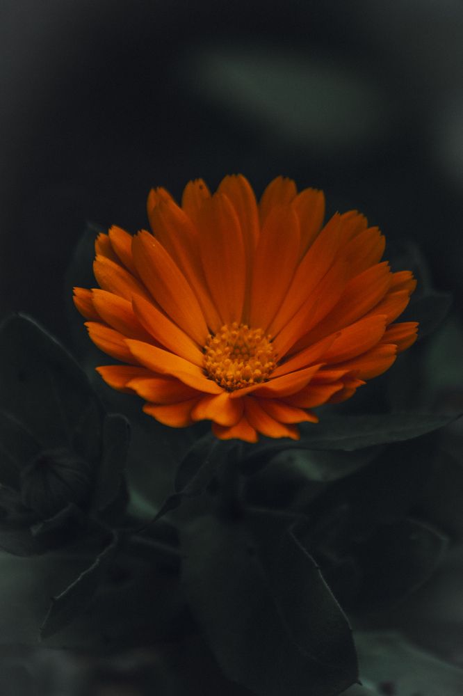 Photograph by Алексей Марченков