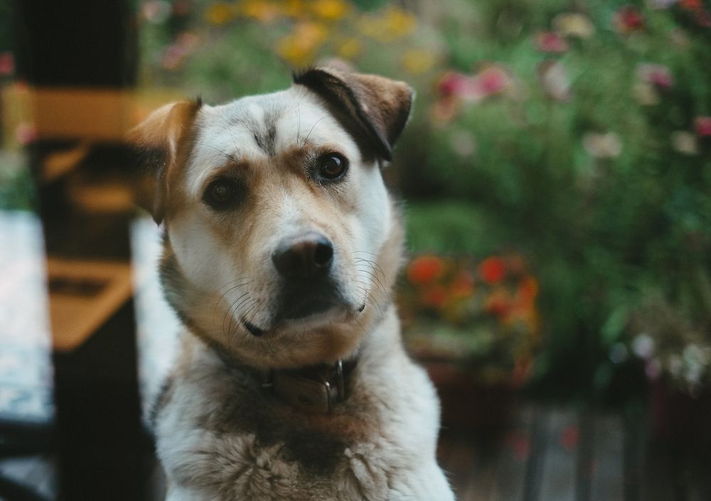 Photograph by Сергей Нуштайкин