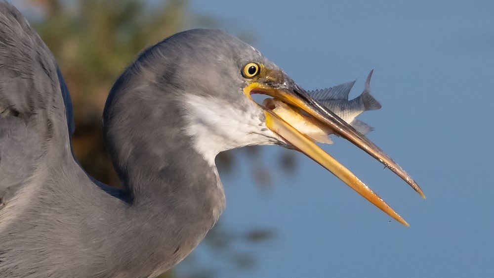 Photograph by Maitham Al Lawati