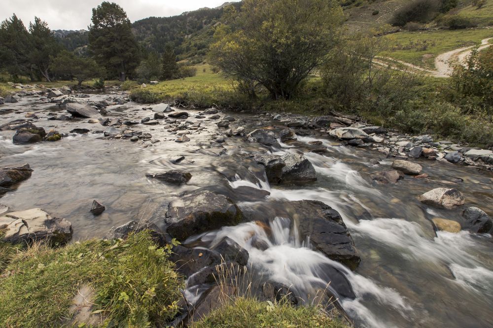 Фотография автора Uljana Kuchar