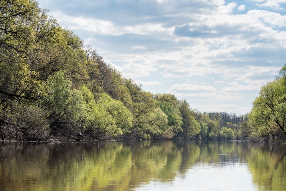 Photograph by Максим Ушаков